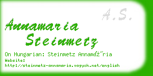 annamaria steinmetz business card